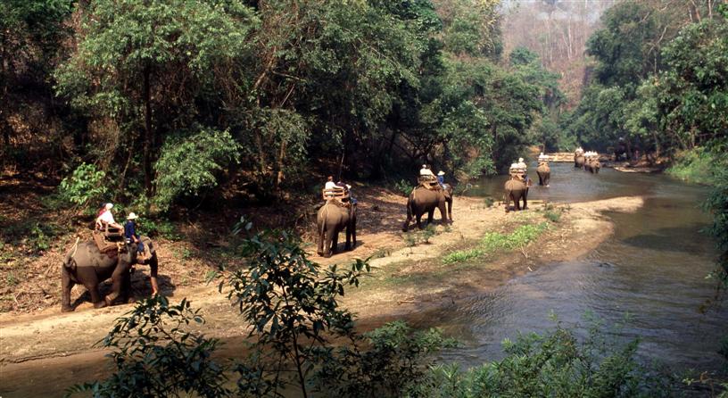 Olifantenrit en bamboe rafting door de jungle in Chiang Mai, noord Thailand