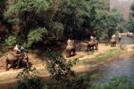 Lichte tweedaagse trekking met olifantenrit en bamboe vlotvaart