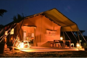 Sirila camp safari tent