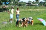 Home Stay with a host family in Thai Isaan with a visit to the village school and the rice fields