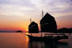 Day cruise or evening dinner cruise on the June Bahtra